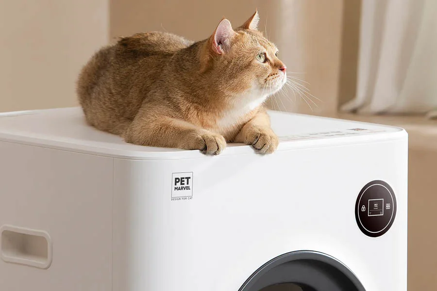 odor free litter box