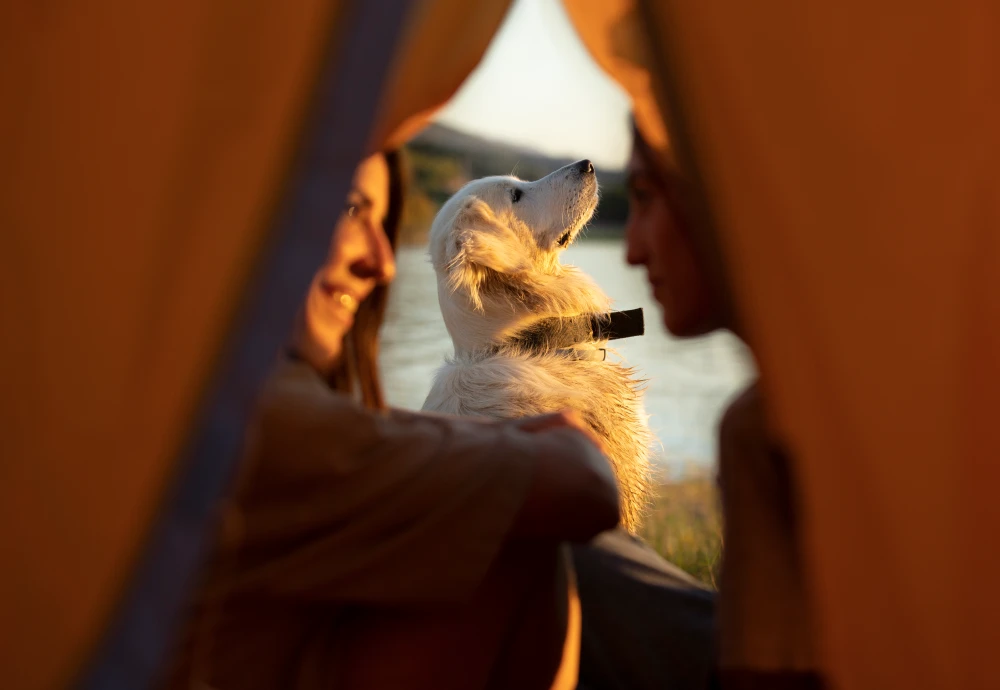 3 person tent ultralight