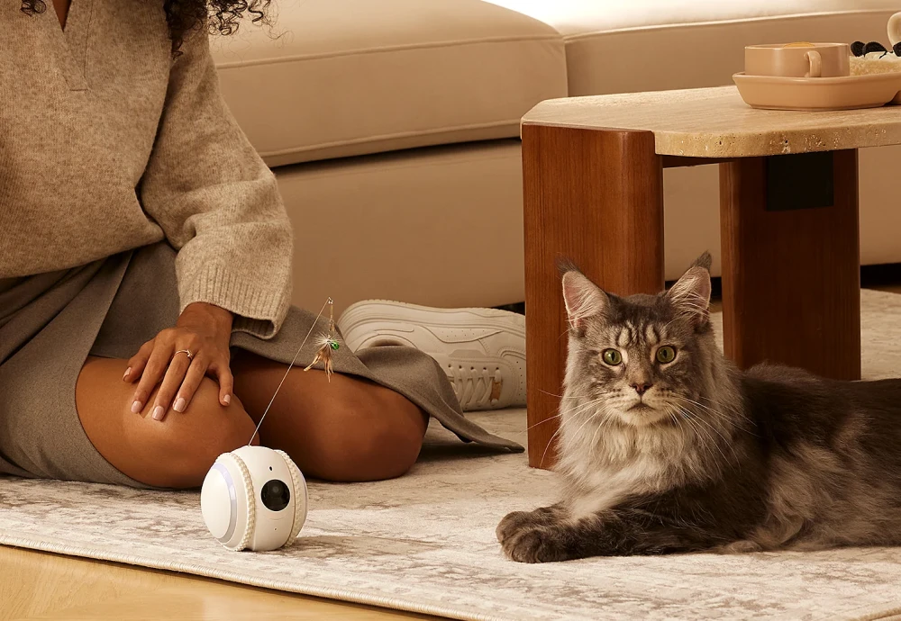 best at home pet camera