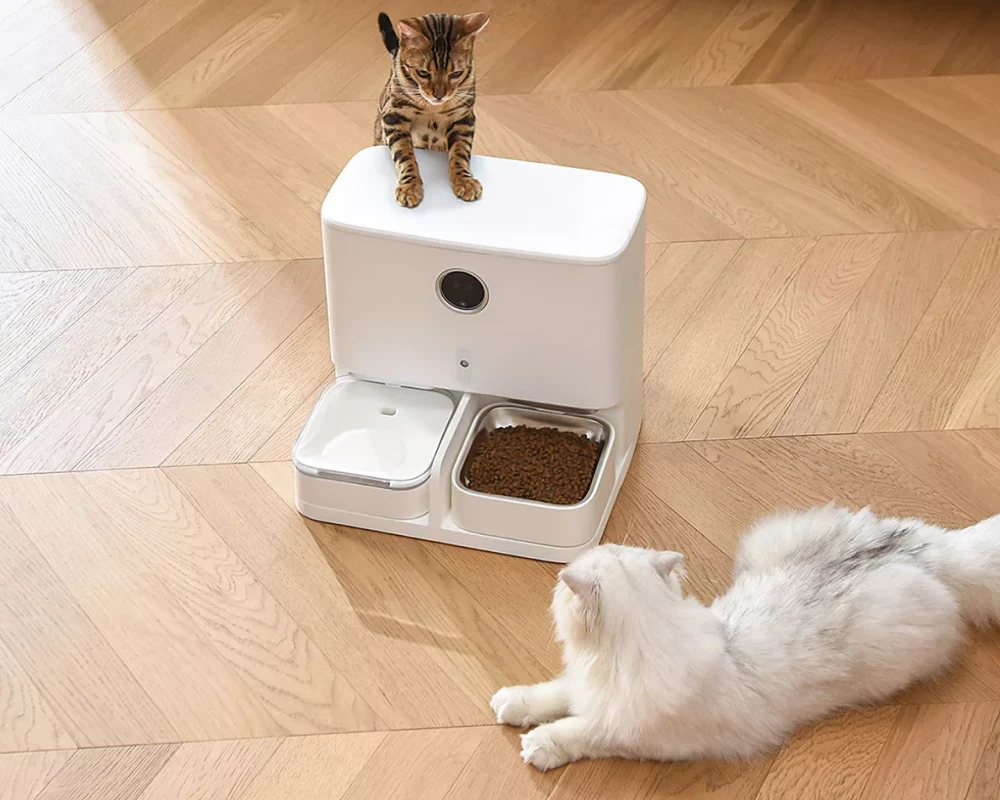 automatic wifi pet feeder