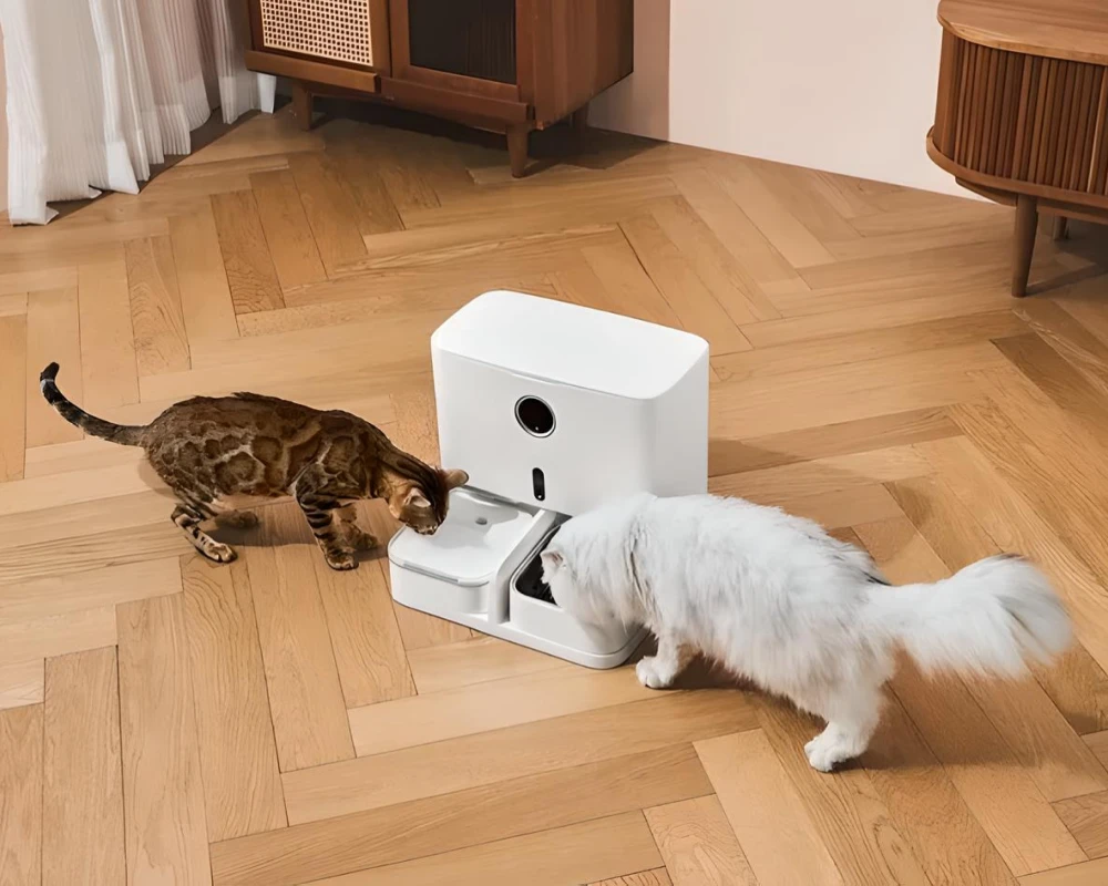 automatic wifi pet feeder